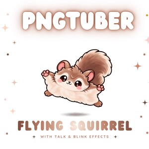 May include: A digital illustration of a brown flying squirrel with large dark eyes and pink cheeks. The text PNGTUBER appears at the top, and FLYING SQUIRREL WITH TALK & BLINK EFFECTS is at the bottom. Small four-pointed stars surround the character.