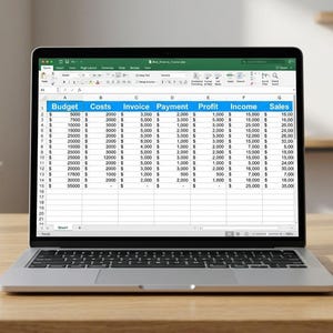 Puede incluir: Un ordenador portátil plateado que muestra una hoja de cálculo con columnas tituladas Budget, Costs, Invoice, Payment, Profit, Income y Sales, llena de datos numéricos en dólares, colocada sobre una superficie de escritorio de madera.