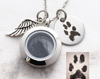 Personalized Pet Paw Necklace - Fur Keepsake Locket - Dog Cat Memorial - Glass Locket - Lock of Hair Jewelry - Pet Hair Memorial Gift  N1361
