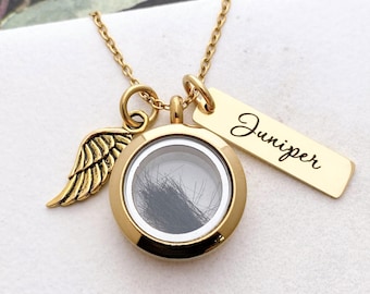 Personalized Pet Fur Locket - Dog Cat Memorial Necklace Glass Locket - Lock of Hair Keepsake Jewelry - Pet Hair Memorial Gift - N1364