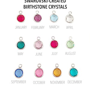 Pu&ograve; includere: Dodici cristalli di nascita rotondi creati da Swarovski in montature d'argento. Ogni cristallo rappresenta un mese diverso dell'anno. I cristalli sono disposti in tre file di quattro. I cristalli sono rosso, rosa, azzurro, trasparente, verde acqua, rosa chiaro, rosso, verde chiaro, azzurro, rosa, oro e verde acqua.