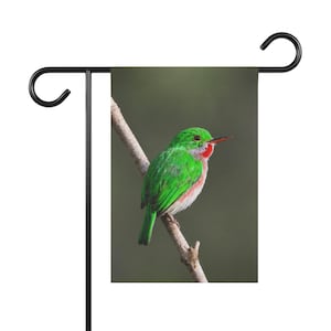 Broad-Billed Tody | Dominican Birds | Bird Decor | Garden Banner | Outdoor Yard Flag