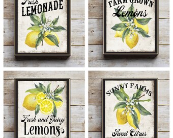 Summer Decor, Summer Tiered tray decor, mini Summer signs, Summer blocks, lemon decor, fresh lemonade, farm grown lemons, summer fruit