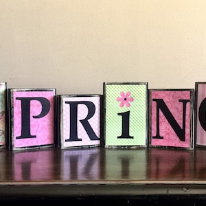 May include: Wooden blocks spelling out the word "SPRING" in black letters. Each block has a different patterned paper covering, including butterflies, polka dots, and stripes. The "I" block has a pink flower on it.