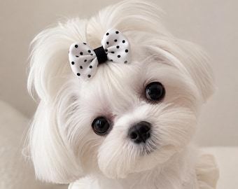 Polka Dot Dog Hair Bow | Small Puppy Top Knot Clip | Maltese Yorkie Shih Tzu Grooming Accessories