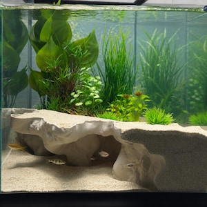 Puede incluir: Un acuario de cristal con una estructura de cueva beige de textura rocosa con m&uacute;ltiples aberturas sobre un sustrato de arena clara. Varios peces peque&ntilde;os y delgados nadan cerca de la cueva, mientras plantas acu&aacute;ticas verdes llenan el fondo.