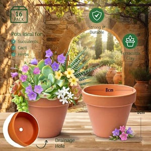 Mini Terracotta Pots Set of 16 | 8cm Clay Planters