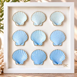 May include: A white square shadow box frame containing nine scallop shells arranged in a three-by-three grid. Each shell features a glossy light blue gradient finish with gold-painted edges. The letters DC are printed in gold in the bottom right corner.