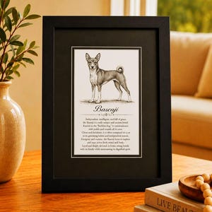 May include: A black framed print featuring a black and white illustration of a Basenji dog standing in profile. Below the dog, the text reads Basenji followed by a paragraph describing the breed's characteristics, including its independent nature.