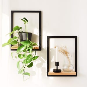 Prateleira com moldura / Decoração de parede criativa para plantas e outras peças favoritas / Prateleira flutuante / Painel de parede feito de faia