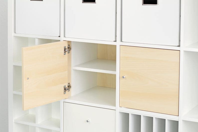 ikea kallax shelf insert with door