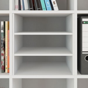 Kallax insert with 2 shelves / Kallax shelf divider / IKEA Kallax accessories / Kallax shelf divider / Height-adjustable shelves