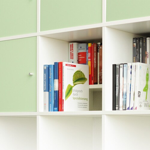 Ikea Kallax Expedit Shelf DVD Bluray Book Insert Compartment Etsy