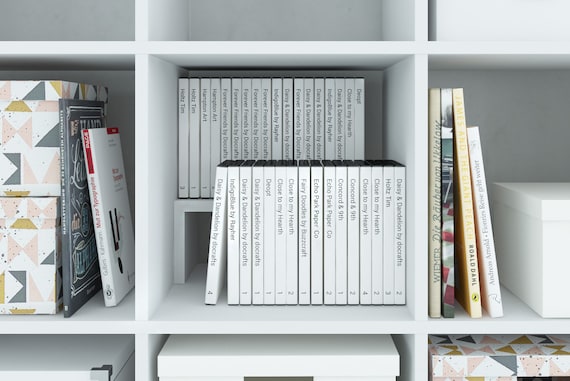 Ikea Kallax Expedit estante DVD Bluray libro inserto compartimento divisor  para 44 DVD Blurays o libros estante para CD almacenamiento de DVD nivel de  almacenamiento blanco -  España