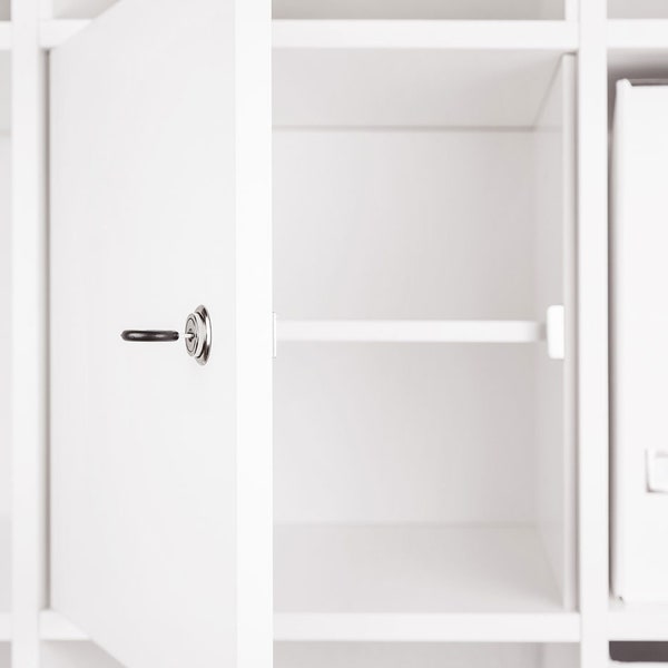 Porte Kallax verrouillable pour étagère Ikea Kallax Expedit avec serrure et panneau arrière en blanc - clés identiques