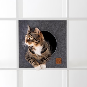 Pode incluir: Um gato tigrado espreita de uma cama de gato de feltro cinza com uma abertura redonda. A cama tem um remendo de couro marrom com um logotipo.