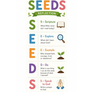 May include: A vertical rectangular card featuring the colourful text SEEDS REFLECTION. It lists five points: S-Scripture, E-Explore, E-Example, D-Do, and S-Speak to God, each with a corresponding icon including a Bible, magnifying glass, and hands in prayer.