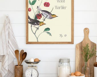 May include: A framed print of a Hermit Wood Warbler bird illustration hangs above a kitchen counter. The print features a bird perched on a flowering branch. A vintage scale, wooden utensils, and a bowl of eggs are on the counter.