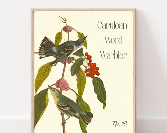May include: A framed print featuring two Carulean Wood Warblers perched on a branch with green leaves, pink berries, and red berries. The print includes the text "Carulean Wood Warbler" and "No. 18" in a vintage style.