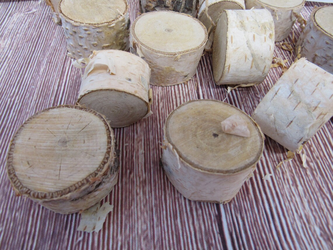 White Birch Wood Chunks 12 Pieces Great for DIY Craft Etsy