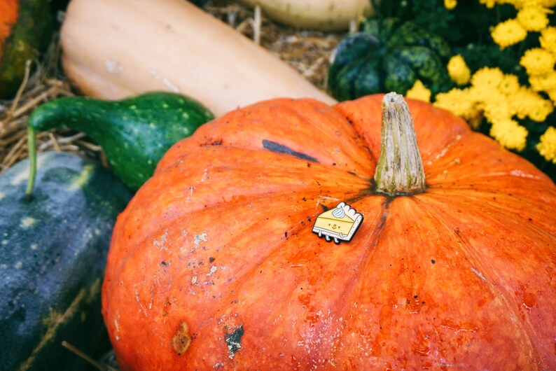 Pumpkin pie enamel pin
