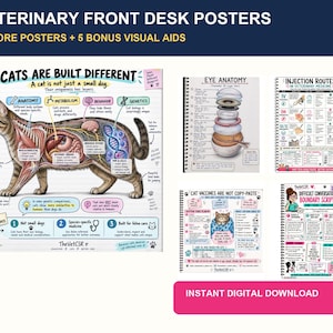 May include: A collection of veterinary educational posters featuring a large cat anatomy diagram titled Cats Are Built Different, alongside smaller charts for eye anatomy, injection routes, cat vaccines, and a difficult conversation script kit.