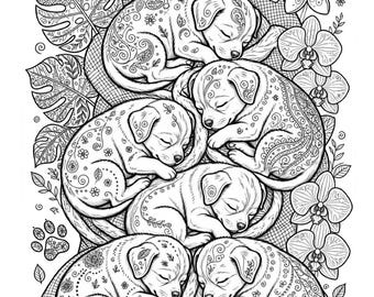 The Last Seven: Sato Dog Adult Coloring Book (17 Zentangle Pages, PDF)
