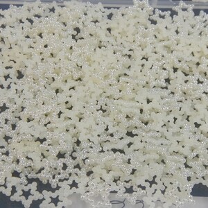 May include: A close-up image of a large quantity of small, white, pearl-like snowflake sprinkles. The sprinkles are scattered randomly across a flat surface.