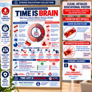 Może przedstawiać: Plakat edukacyjny zatytułowany Time Is Brain, przedstawiający centralną grafikę mózgu podzieloną na zdrowe i uszkodzone sekcje z zegarem. Zawiera schematy przepływu krwi, sześciostopniowy proces postępowania przy udarze oraz informacje o pomocy doraźnej.
