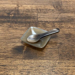 May include: A small, square, translucent gray dish with a smooth, polished finish, paired with a matching small, curved spoon. Both items feature natural, marbled color variations in shades of charcoal, taupe, and cream, with a glossy surface.