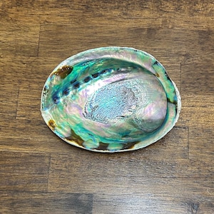 May include: An iridescent abalone shell with a pearlescent sheen. The shell displays a range of colors, including blues, greens, and purples, with a textured surface. The shell is oval-shaped and sits on a wooden surface.