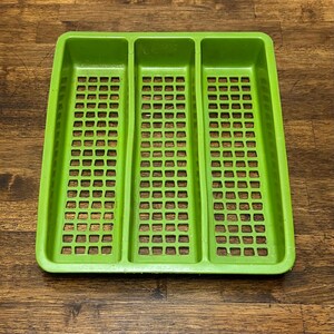 May include: A bright green plastic utensil tray with three compartments. Each compartment has a grid pattern for drainage. The tray is rectangular with rounded corners and sits on a wooden surface.