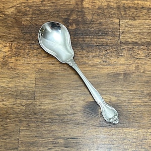 May include: A silver spoon with a wide, shallow bowl and a long, ornate handle. The spoon is made of a shiny, reflective metal and is likely used for serving or eating. The handle features decorative detailing.