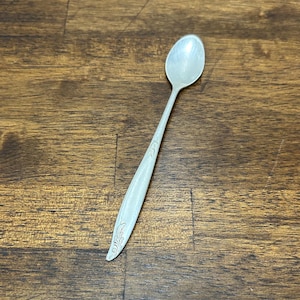 Puede incluir: Una cuchara plateada con un cuenco redondeado y un mango largo y delgado. El mango presenta un diseño floral grabado. La cuchara está sobre un fondo de madera.