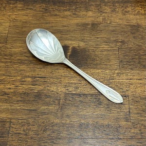 May include: A silver spoon with an oval bowl and a long, slender handle. The bowl features a decorative fan-like pattern. The handle has a subtle design near the end. The spoon is set against a dark wood surface.