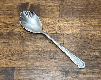 Cuchara de azúcar vintage, INS165 International, repuesto de cubiertos de acero inoxidable