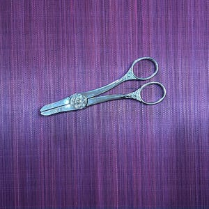Vintage Wiss Floral Shears