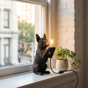Può includere: Una statuetta di bulldog francese scolpita in marrone scuro, in piedi sulle zampe posteriori. Il cane regge un portalampada nero con una lampadina a filamento in vetro trasparente in stile Edison. Un cavo nero con interruttore esce dal portalampada.