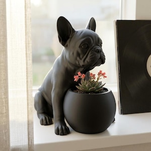 Puede incluir: Una figura de bulldog francés en color negro mate integrada con una maceta redonda. El perro está en posición sentada con sus patas delanteras apoyadas en el borde del recipiente esférico. Una pequeña suculenta verde con puntas rosadas está plantada.