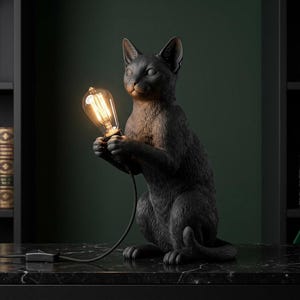 Può includere: Una lampada da tavolo a forma di gatto nero opaco con una figura felina testurizzata seduta in posizione eretta. Il gatto tiene tra le zampe anteriori una lampadina in stile Edison accesa, collegata a un cavo nero con interruttore.