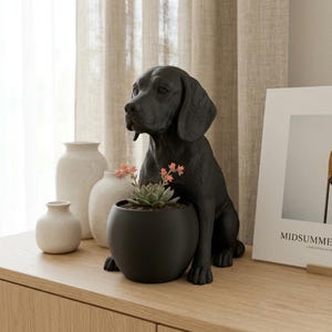 Pode incluir: Uma estatueta de cão preto mate que serve de vaso, apresentando um canino sentado com orelhas caídas e um acabamento liso. O cão segura um vaso preto redondo contendo uma pequena suculenta verde com folhas delicadas de pontas rosadas.