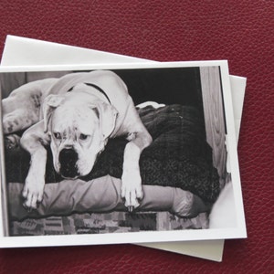 Cartão de saudades / Cartão de saudades / Perdi seu aniversário / Cartão fotográfico feito à mão / Frete grátis para os EUA / MVMayoPhotography
