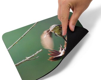 Battling Hummingbirds Mouse Pad