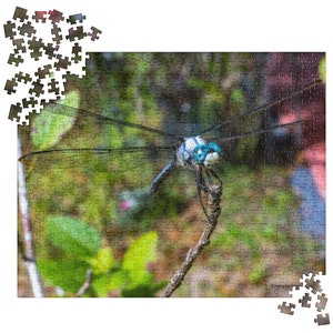 Blue Darter Dragon Puzzle