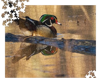 Wood Duck #2 PUZZLE