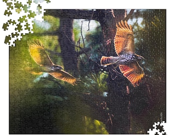Red Shouldered Hawks PUZZLE