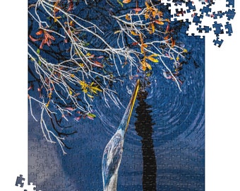 May include: A blue heron with its head tilted back, looking up at the sky, with its long beak pointed upwards. The heron is standing in a body of water with a reflection of the heron and surrounding trees. The water is a deep blue color with ripples and swirls. The background is a blur of trees and leaves in shades of yellow, orange, and brown.