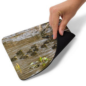 Wood Ducks #4 MOUSE PAD