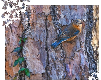 May include: A bluebird with a blue and orange chest perched on a tree trunk with brown bark. The bird is facing to the right and has its wings tucked in. The tree trunk has a vine growing up it.