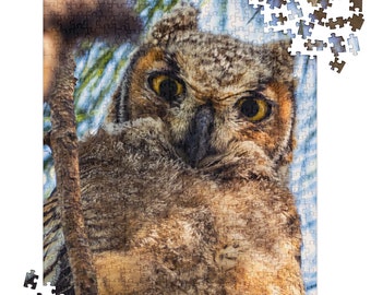 May include: A close-up of a great horned owl perched on a branch, looking directly at the camera with large, yellow eyes. The owl's feathers are brown and white, and its beak is sharp and pointed.